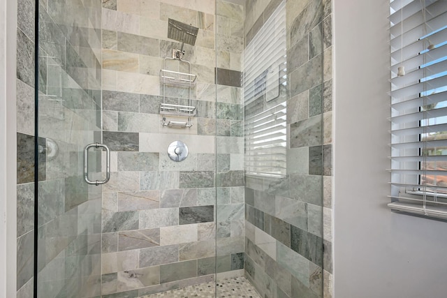 bathroom featuring a shower with shower door