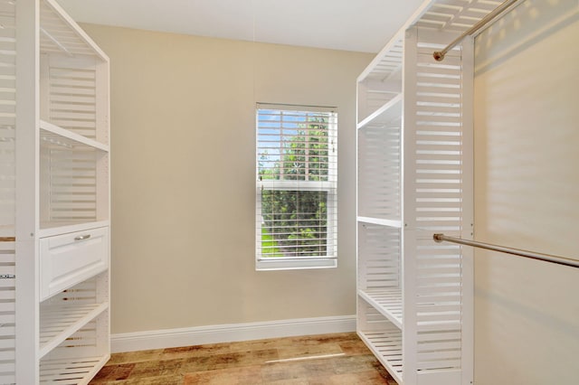 walk in closet with wood-type flooring