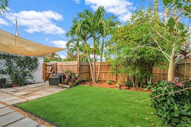 view of yard featuring a patio area