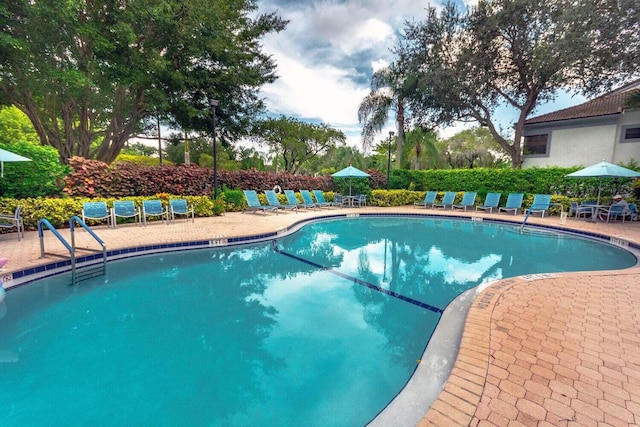 view of pool with a patio area