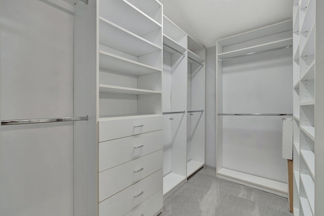 spacious closet with light colored carpet