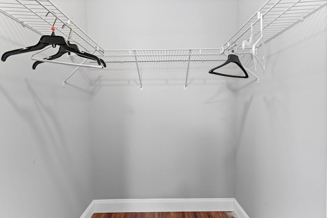 walk in closet featuring hardwood / wood-style flooring