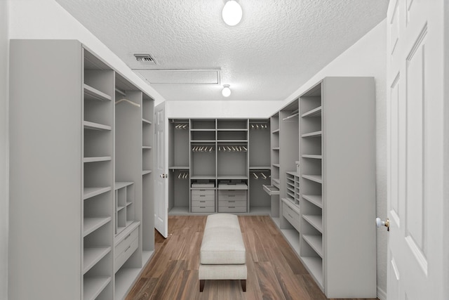 spacious closet with dark wood-type flooring