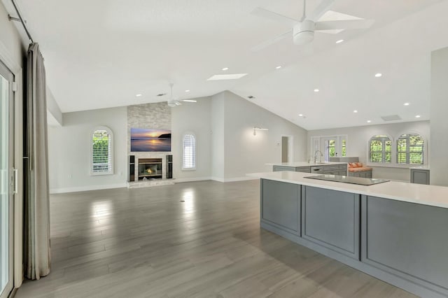 kitchen featuring vaulted ceiling with skylight, a healthy amount of sunlight, a fireplace, and light hardwood / wood-style flooring