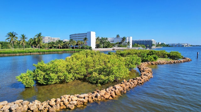 view of water feature