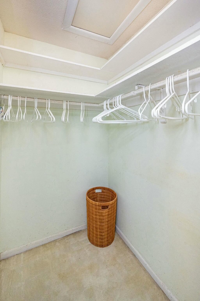 walk in closet featuring carpet floors