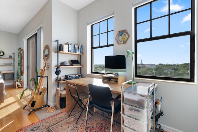 office featuring hardwood / wood-style flooring and plenty of natural light