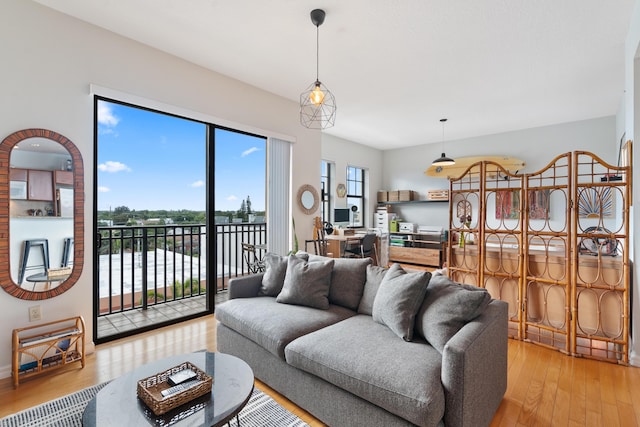 living room with light wood-type flooring