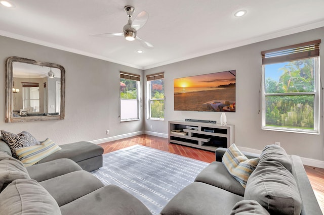 living room featuring light wood-type flooring, ceiling fan, and crown molding