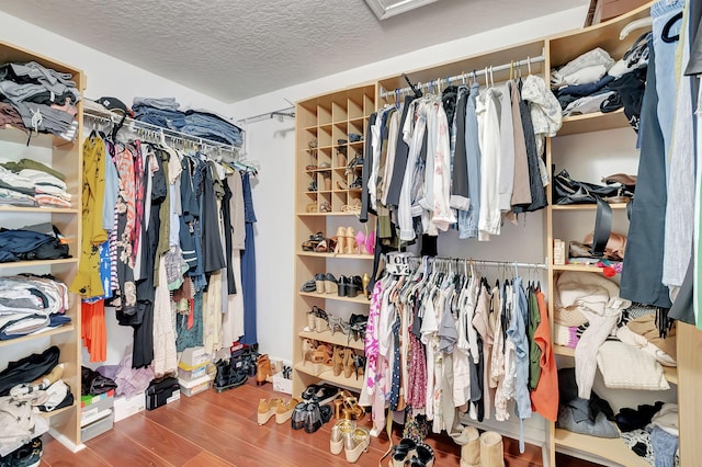 spacious closet with hardwood / wood-style floors