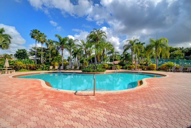 view of swimming pool with a patio area