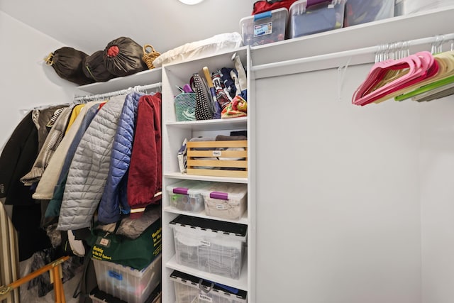 view of spacious closet