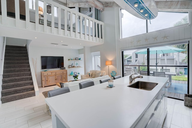 kitchen with a healthy amount of sunlight, sink, an island with sink, and a high ceiling