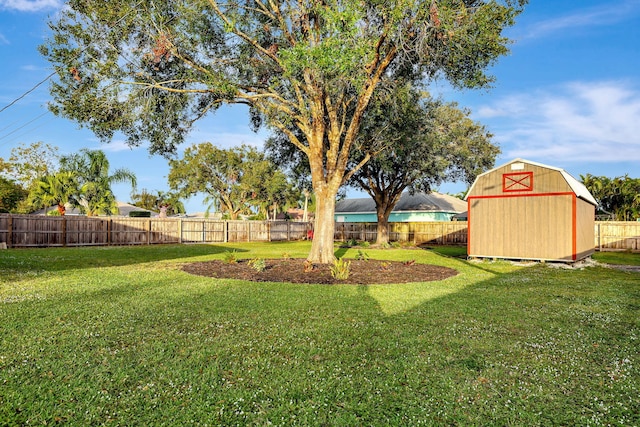 view of yard featuring a shed