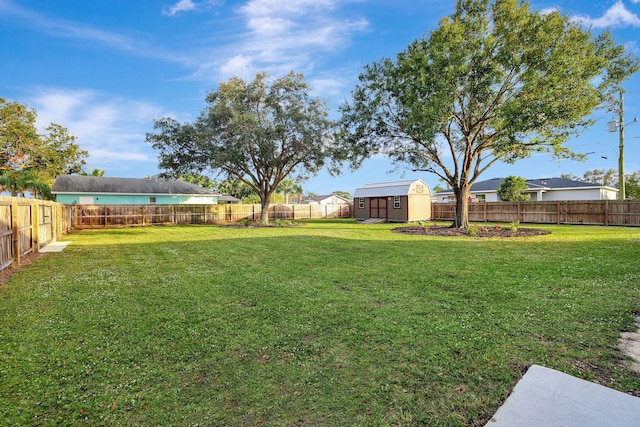 view of yard with a storage unit