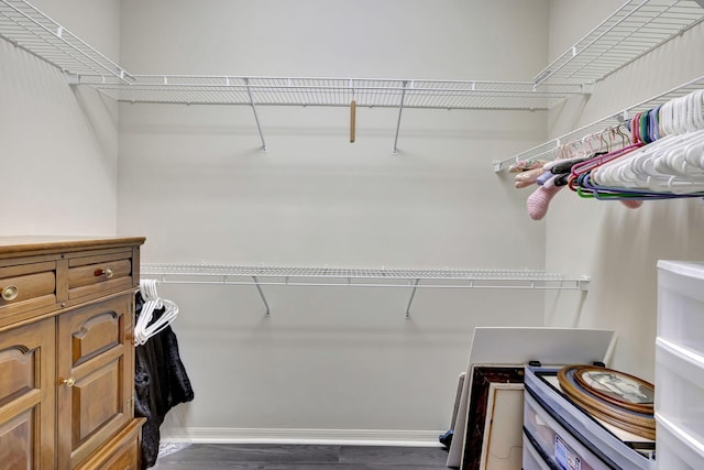 walk in closet with dark hardwood / wood-style flooring