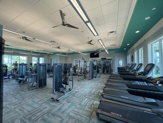 workout area with carpet and ceiling fan