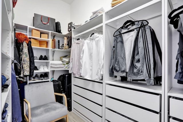 spacious closet with light wood-type flooring