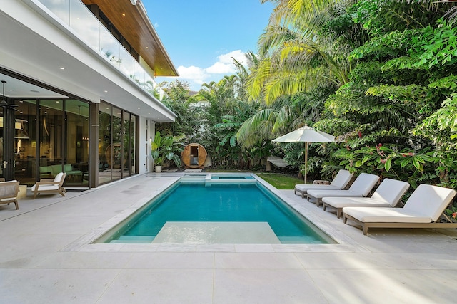 view of pool featuring a patio