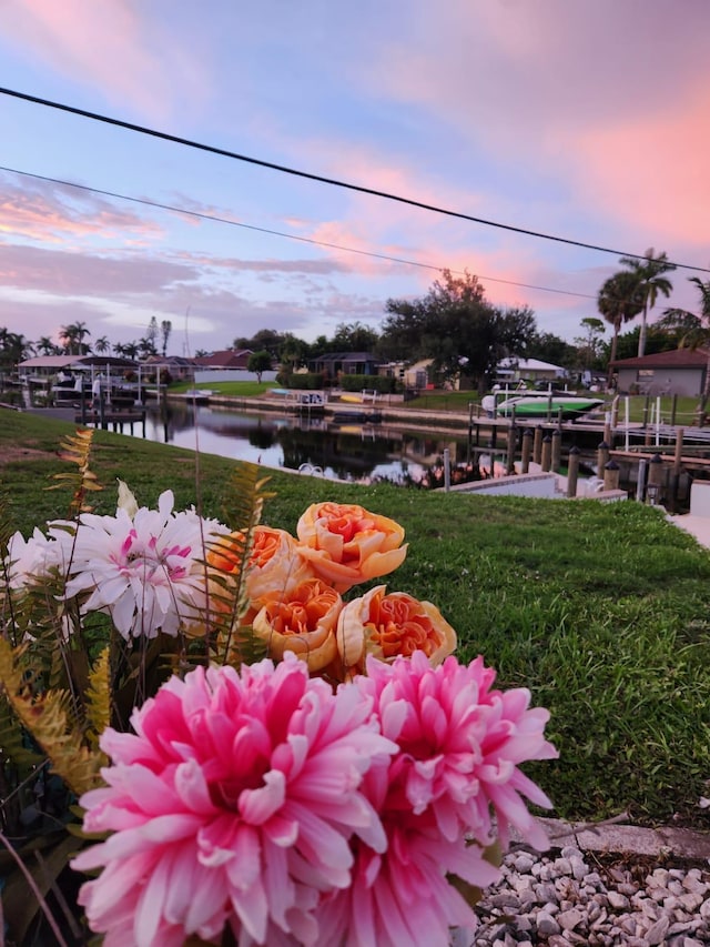 yard at dusk with a dock and a water view