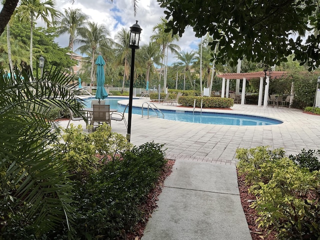 view of pool with a patio area and a pergola