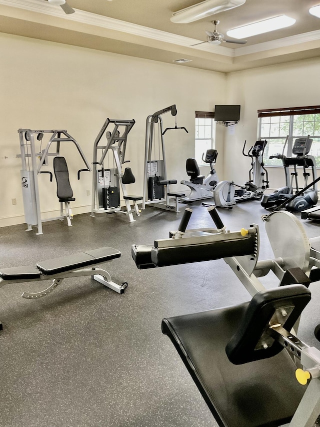 exercise room featuring ceiling fan and ornamental molding