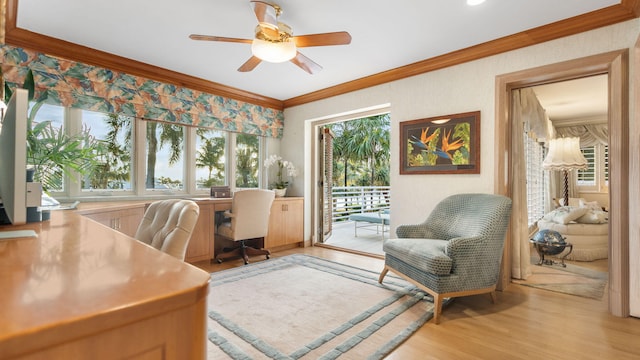 office space featuring ceiling fan, light wood finished floors, and crown molding