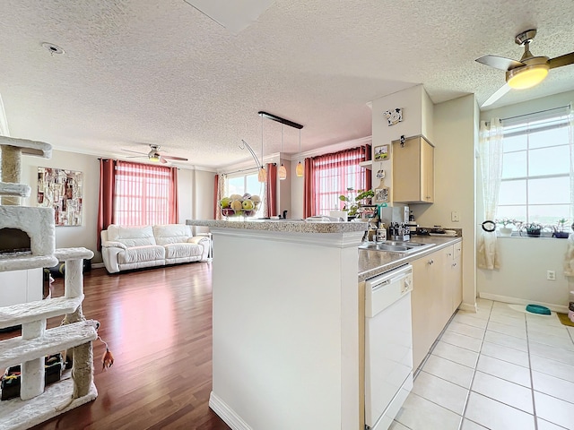 kitchen featuring ceiling fan, dishwasher, sink, light hardwood / wood-style flooring, and a textured ceiling