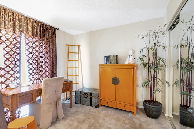 carpeted home office featuring a textured ceiling