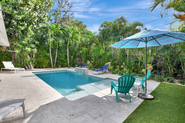 view of pool featuring a patio