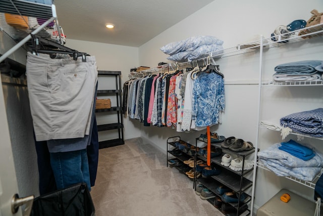 walk in closet featuring carpet