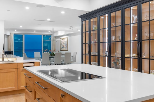 kitchen featuring black electric cooktop, sink, and light hardwood / wood-style flooring