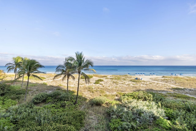 view of water feature featuring a beach view