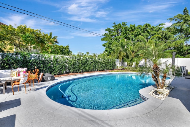 view of pool with a patio