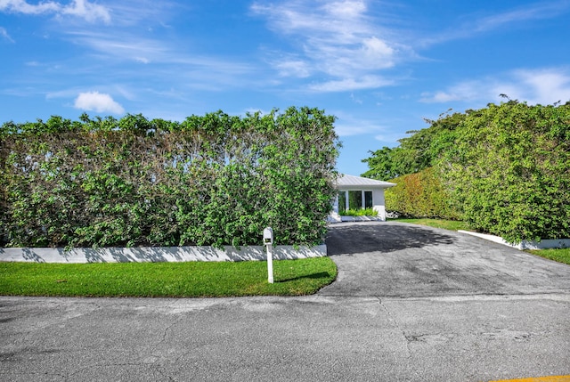 view of property hidden behind natural elements with a front yard