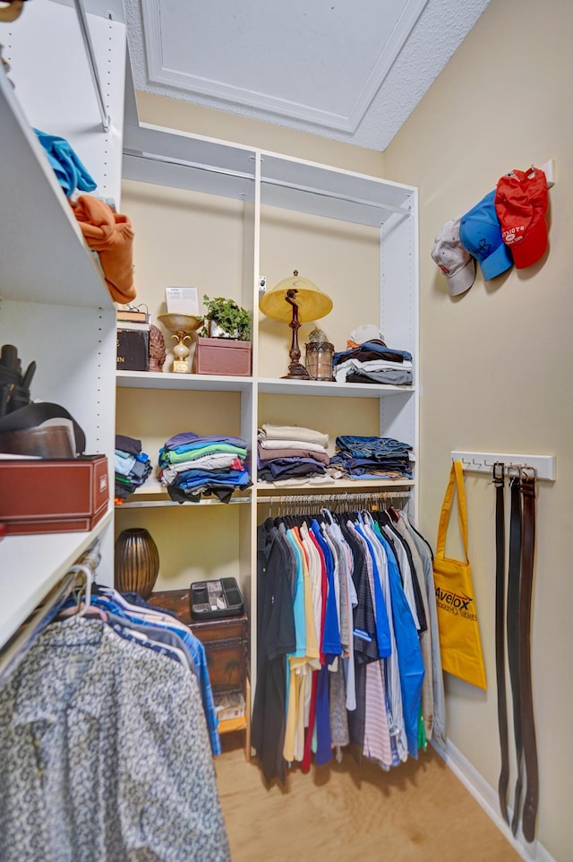 view of walk in closet