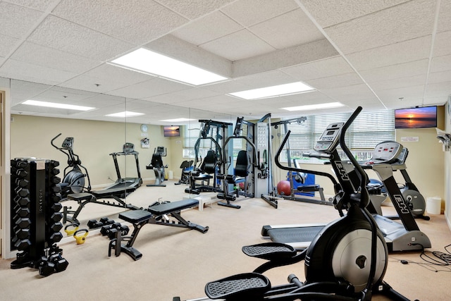 gym featuring a paneled ceiling and carpet flooring