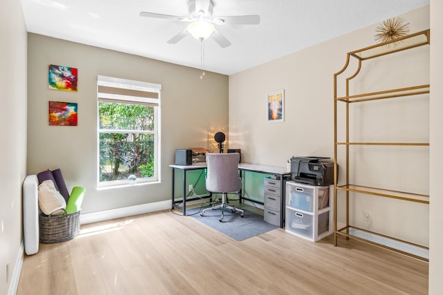 office space with ceiling fan and hardwood / wood-style floors