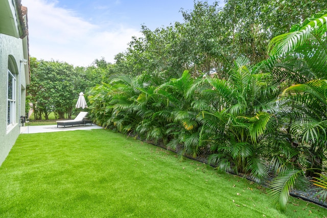 view of yard with a patio