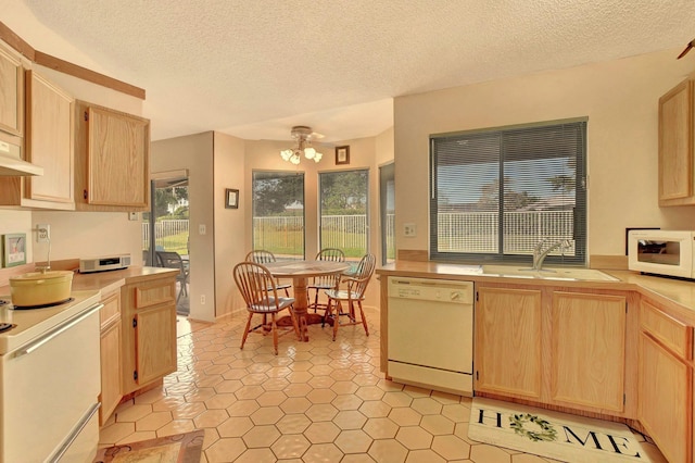 kitchen featuring light brown cabinets, white appliances, a textured ceiling, and sink