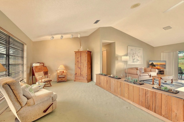 living room with light colored carpet and vaulted ceiling