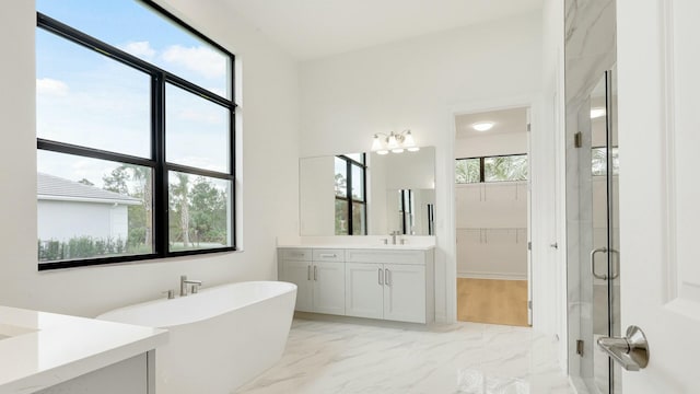 bathroom with shower with separate bathtub and vanity