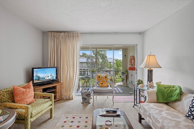 living room with carpet and a textured ceiling