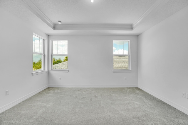 carpeted spare room featuring a raised ceiling, a healthy amount of sunlight, a textured ceiling, and ornamental molding