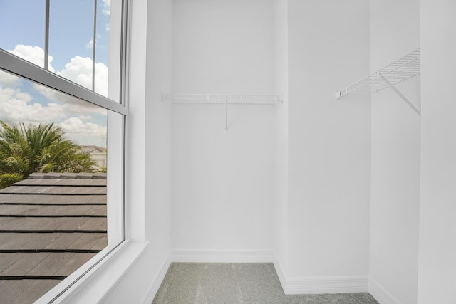 walk in closet with carpet flooring