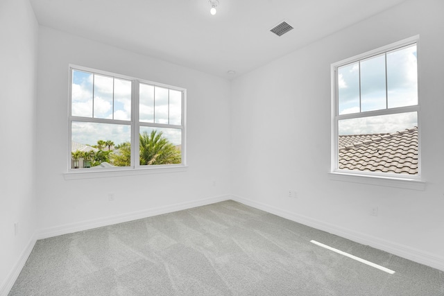 spare room with carpet flooring and a healthy amount of sunlight