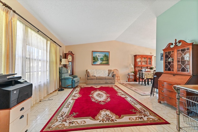 living room with a textured ceiling and vaulted ceiling