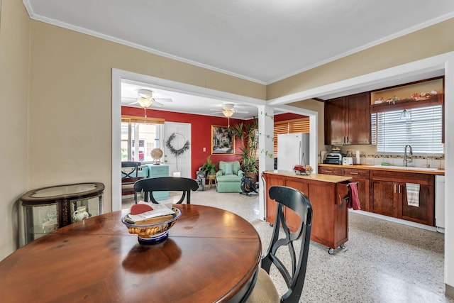 dining area with ceiling fan, crown molding, and sink