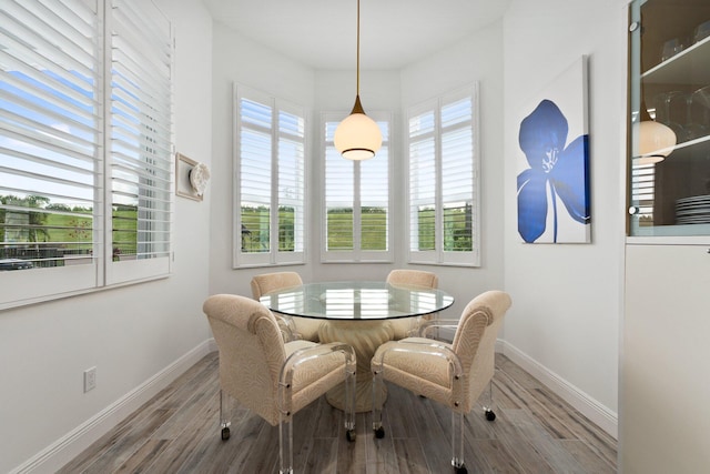 dining space featuring hardwood / wood-style floors