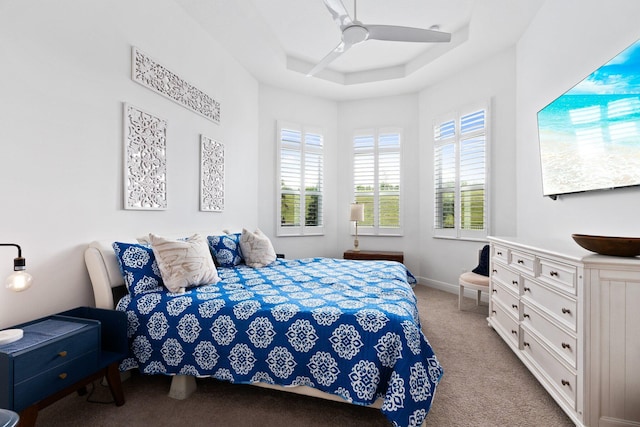 9289 SW Miracoli Way, Port Saint Lucie, FL 34987 - bedroom featuring carpet flooring, a raised ceiling, a ceiling fan, and baseboards